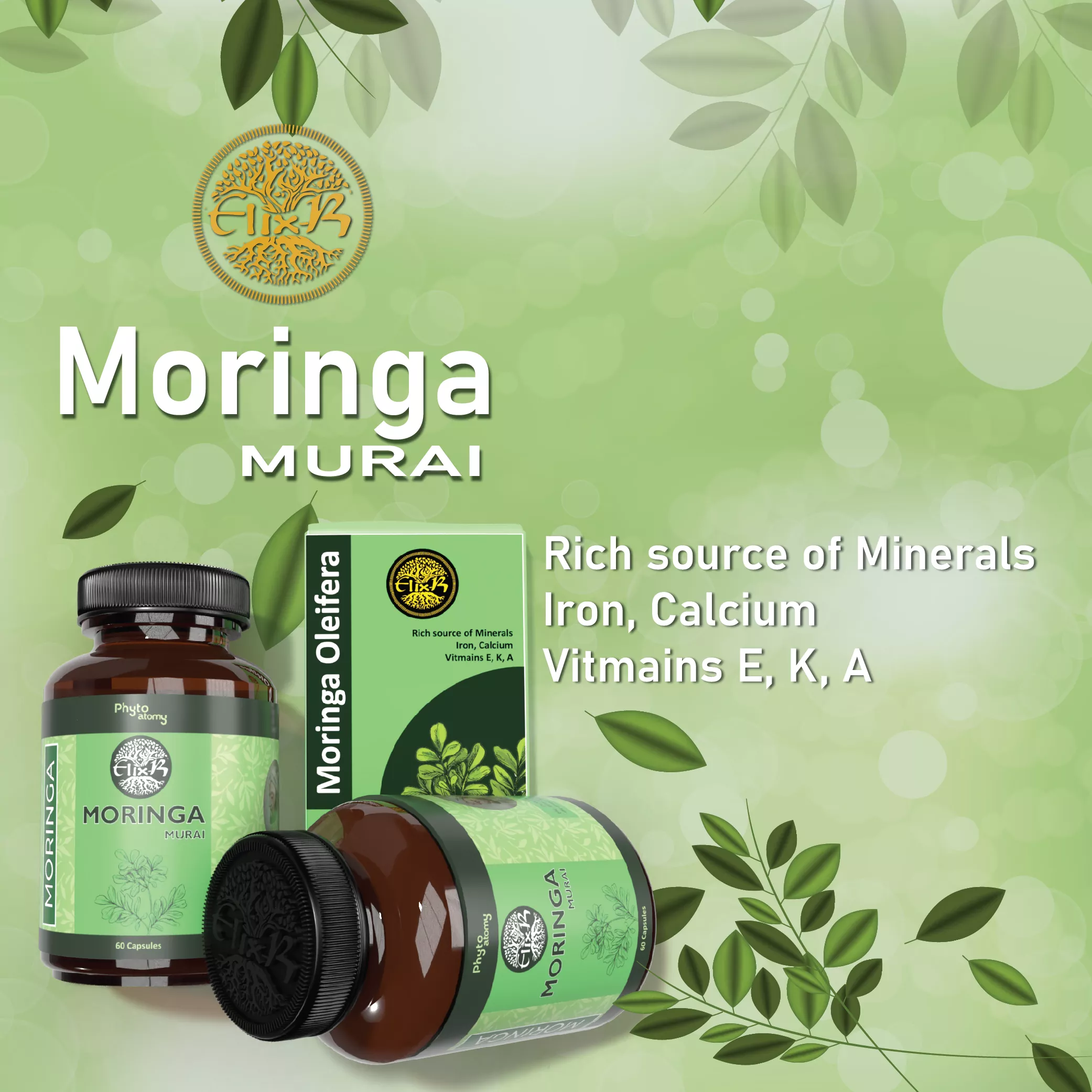 Moringa (60 Capsule) - HS00544